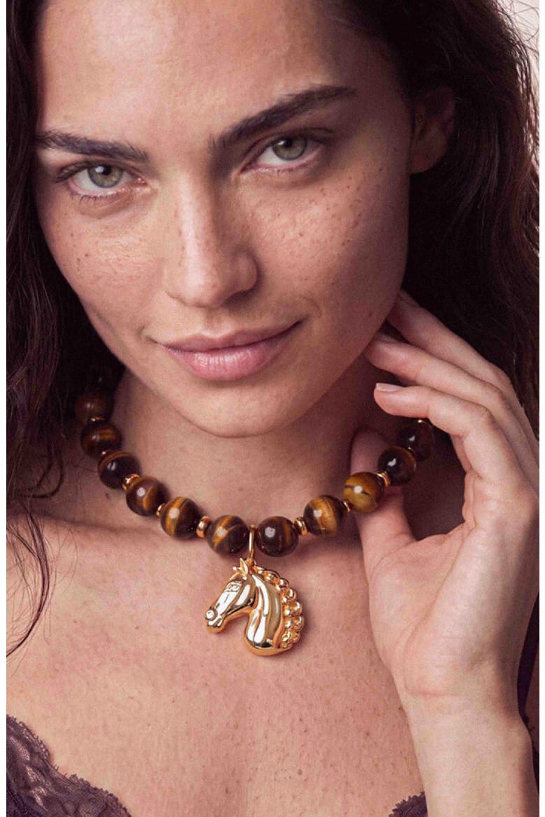 Stallion Tiger's Eye Beaded Necklace, Alternate, color, TIGERS EYE
