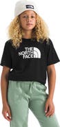 The North Face Kids' Teen Evolution Half Dome Graphic T-Shirt