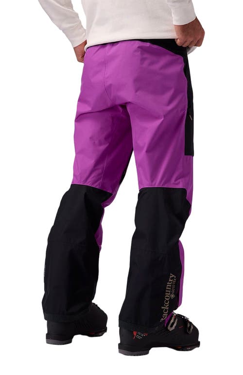 Backcountry Crestcarver Gore-tex Shell Pant In Purple