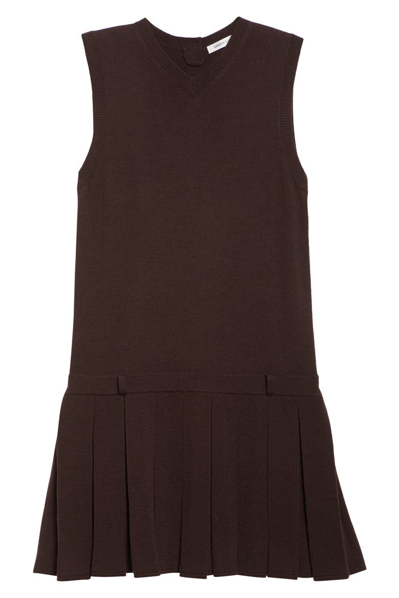 Millie Pleated Merino Wool Sweater Dress, Alternate, color, BROWN