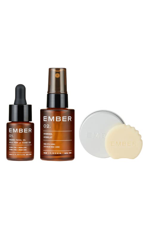 Ember Wellness The Face Starter Set $108 Value In Transparent