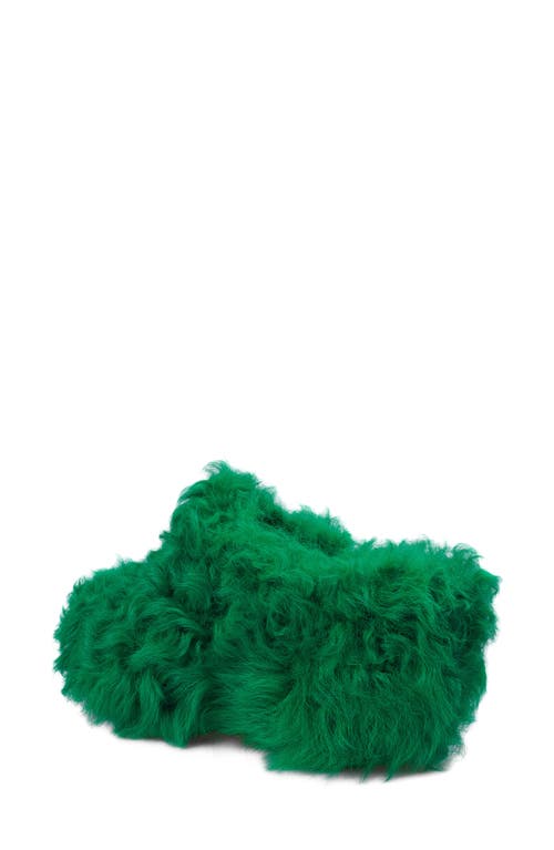 Zigi Fauna Genuine Shearling Platform Clog Slipper In Green