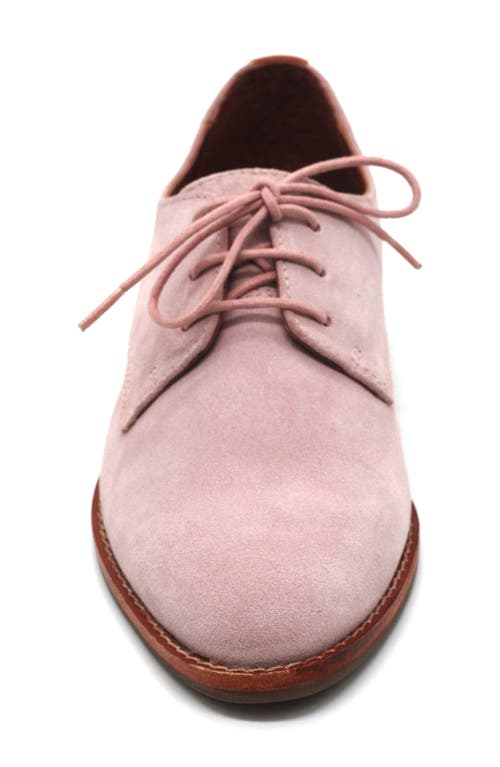 Gentle Souls Aronson Derby In Pink