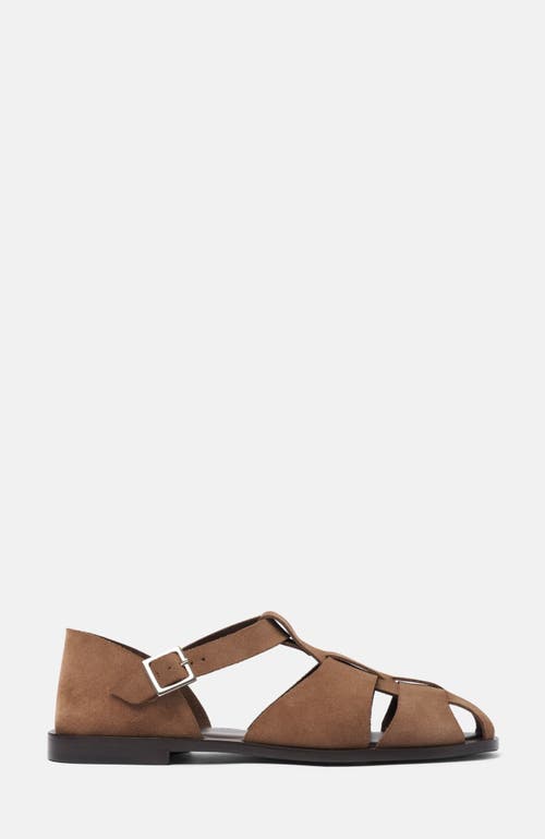 Scarosso Apollo Taupe Suede In Brown