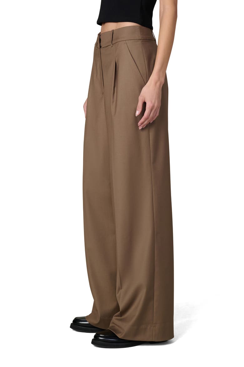 The Kate Wide Leg Pants, Alternate, color, HAZELNUT