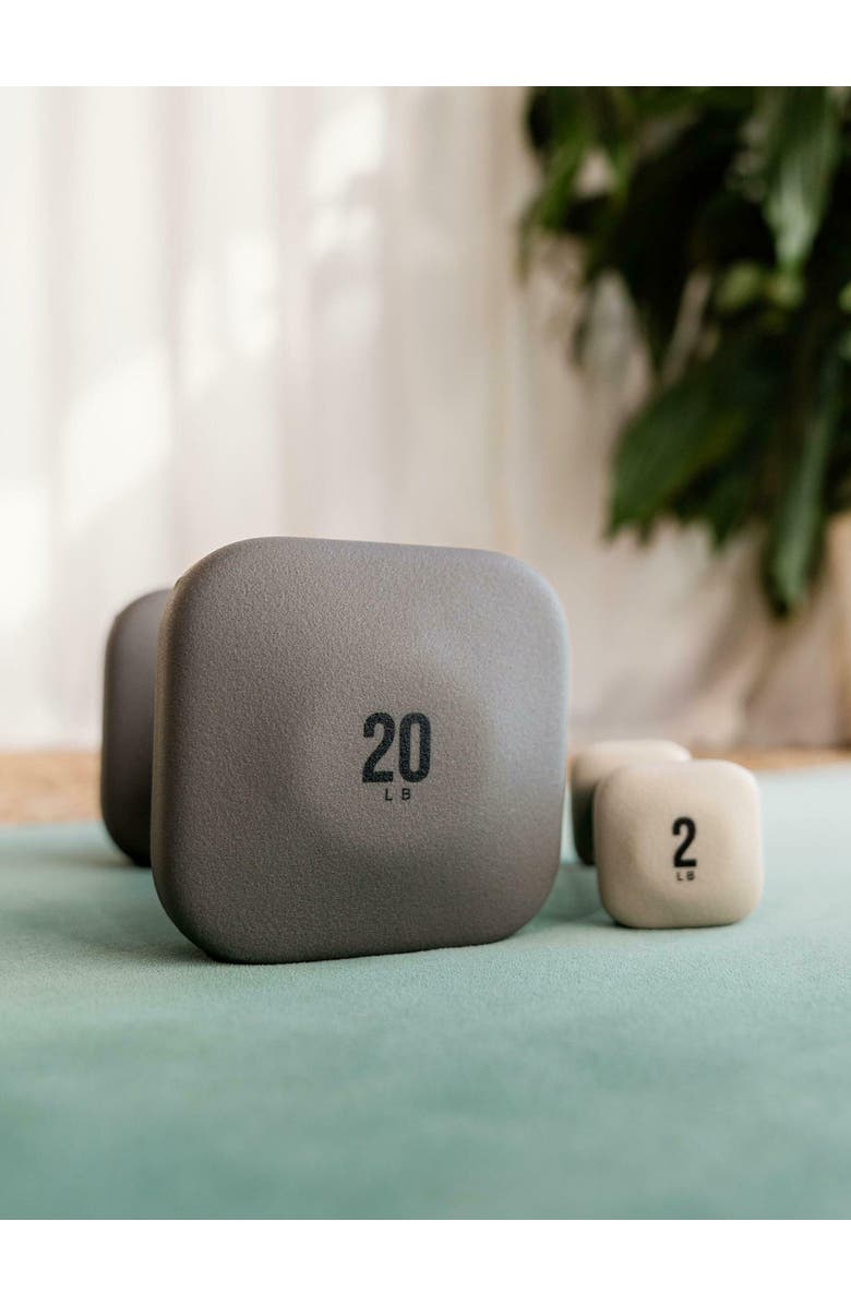 WeGym SafeGrip Dumbbells, Alternate, color, Slate