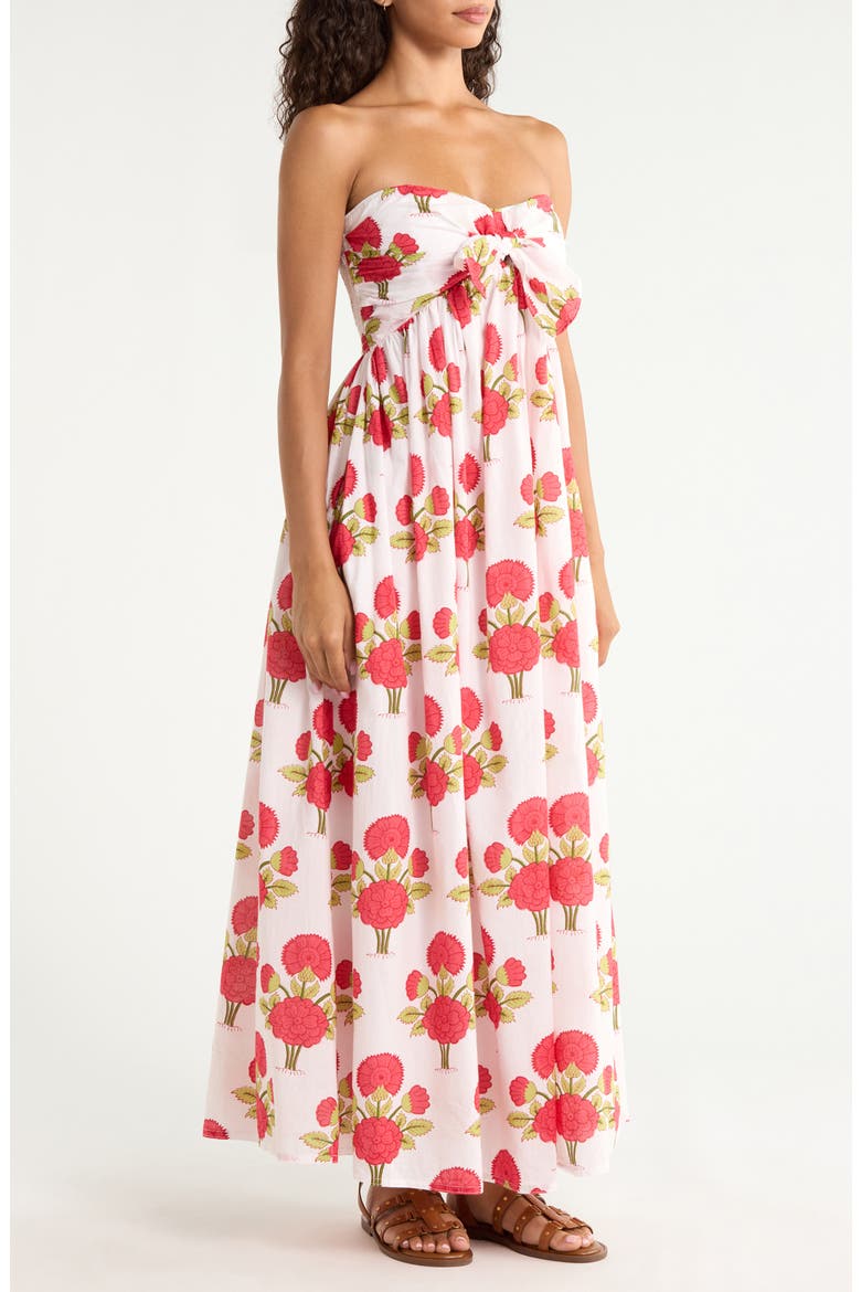 Alexi Floral Organic Cotton Voile Maxi Dress, Alternate, color, BLOOM POEM