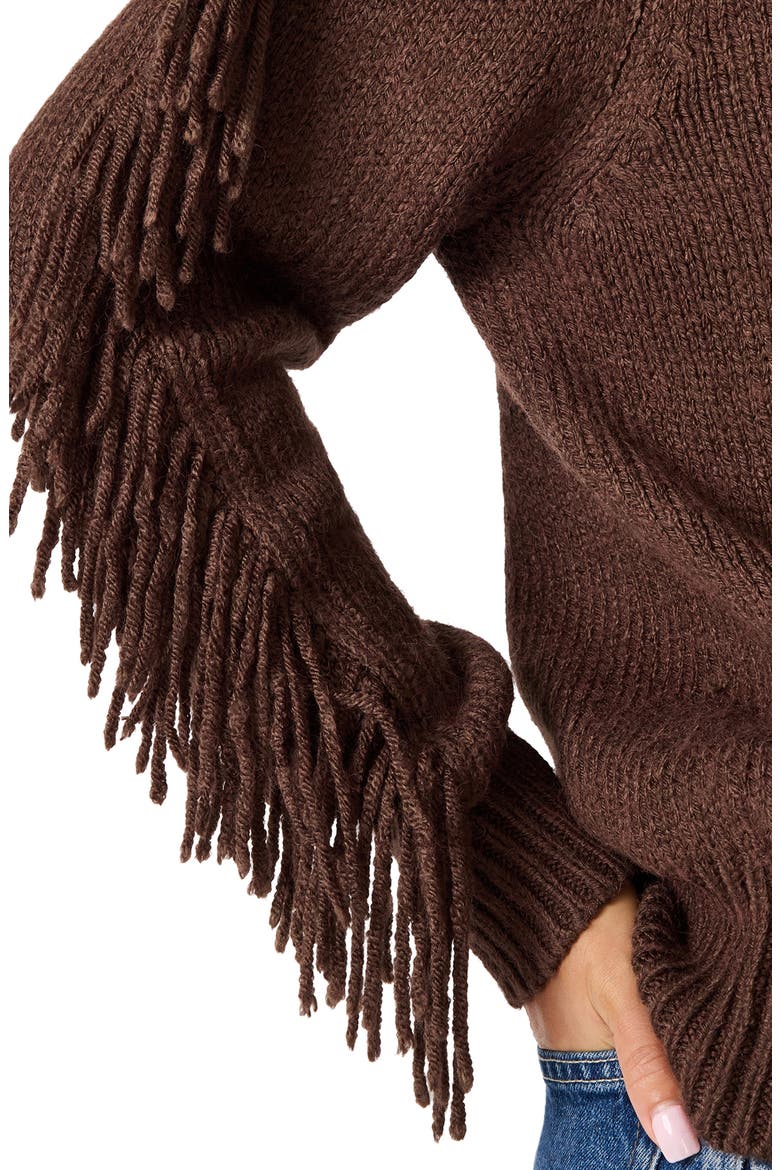 Ashlynne Fringe Sleeve Sweater, Alternate, color, DARK TOFFEE