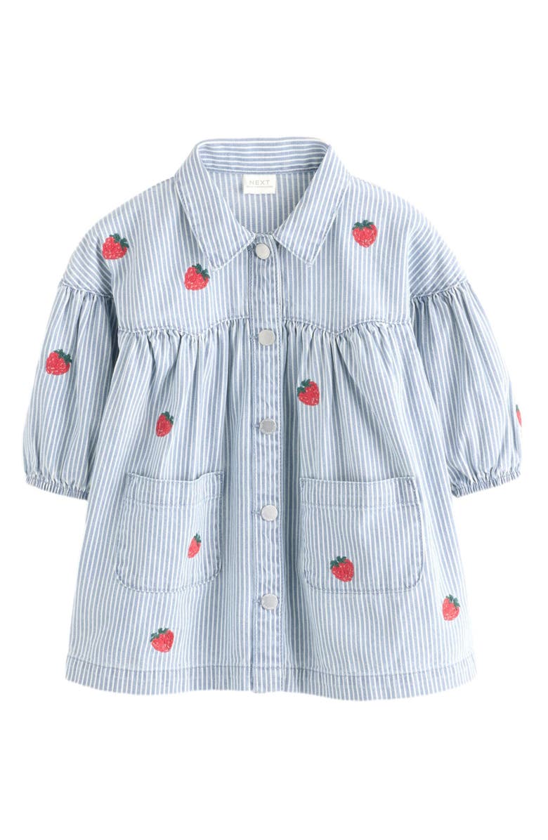 NEXT Kids' Embroidered Stripe Button-Up Shirtdress, Main, color, 