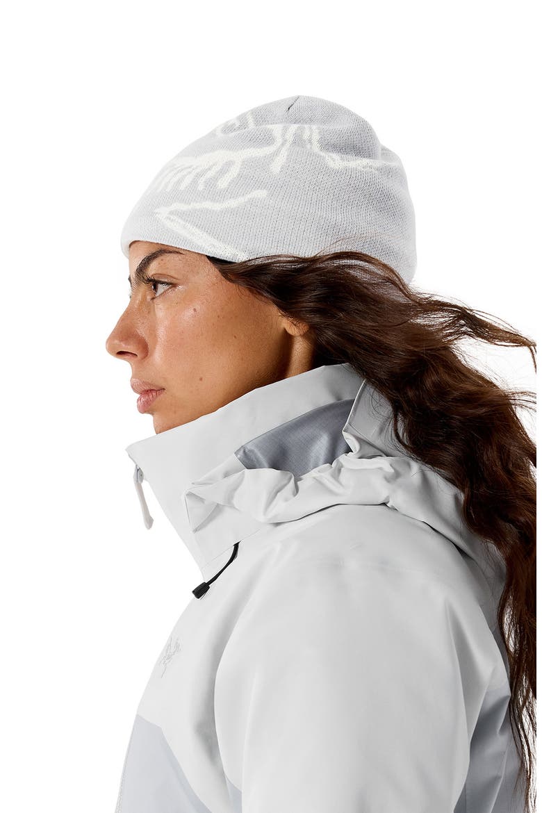 Bird Head Merino Wool Blend Beanie, Alternate, color, SOLITUDE / ARCTIC SILK