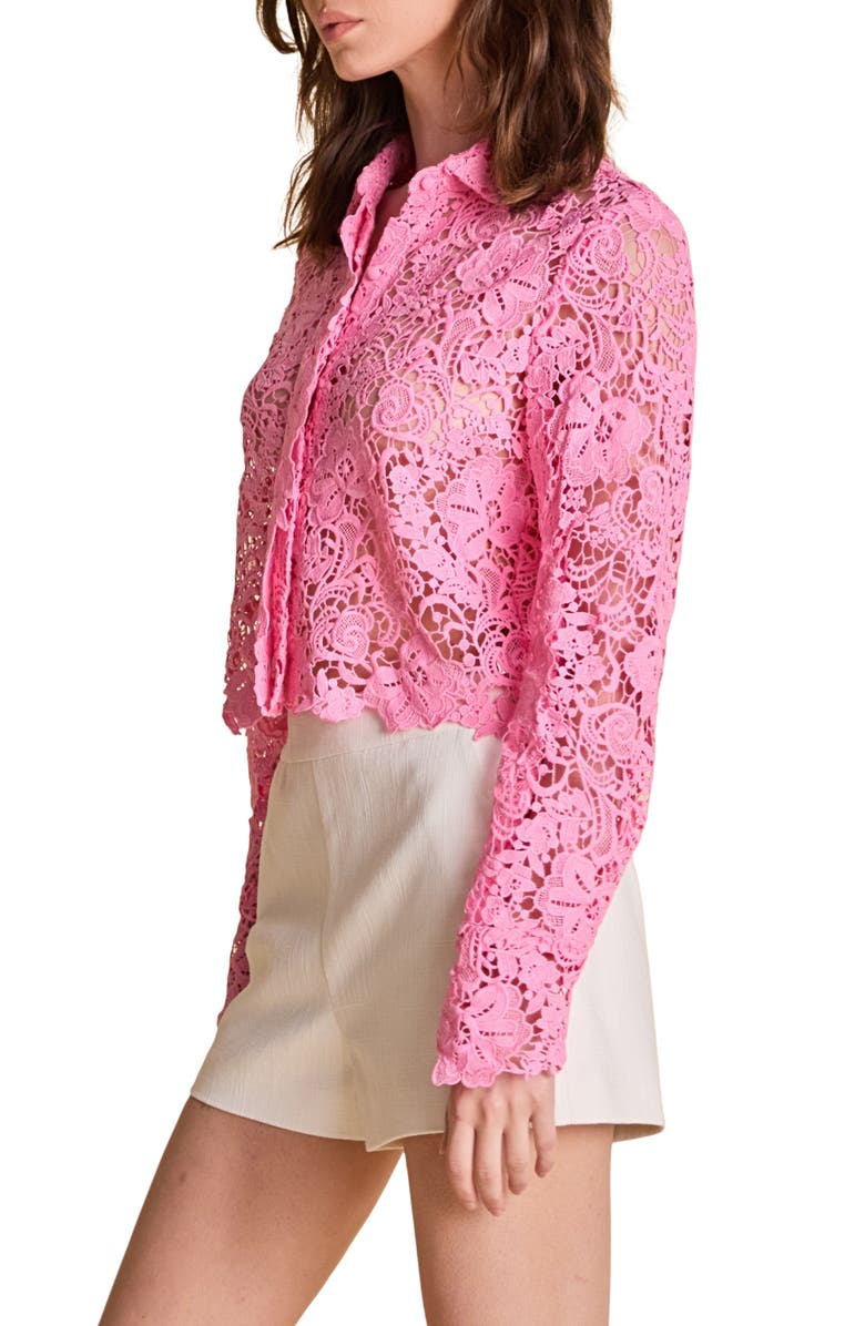 Endless Rose Lace Crop Shirt, Alternate, color, Pink