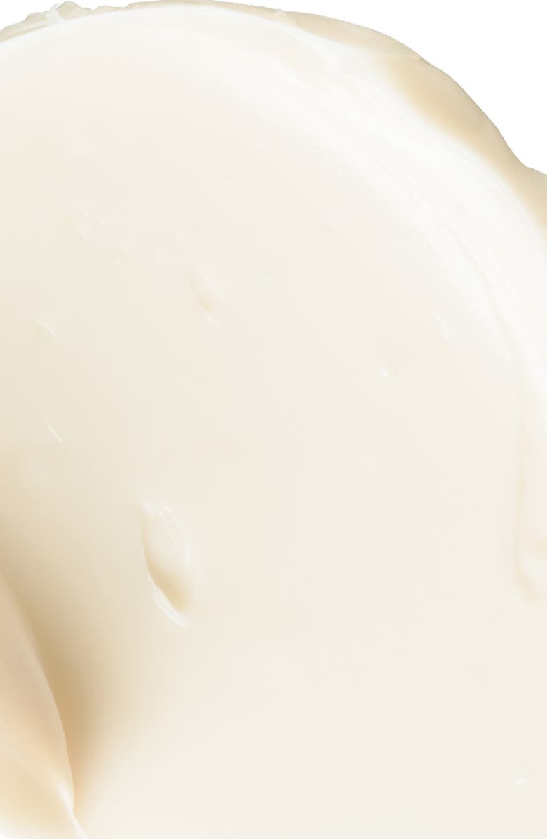 Undaria Algae Body Butter