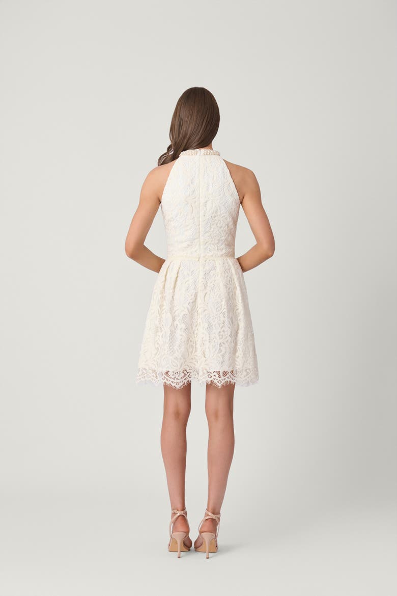 Ribbon Corded Lace Cooper Dress, Alternate, color, Ivory