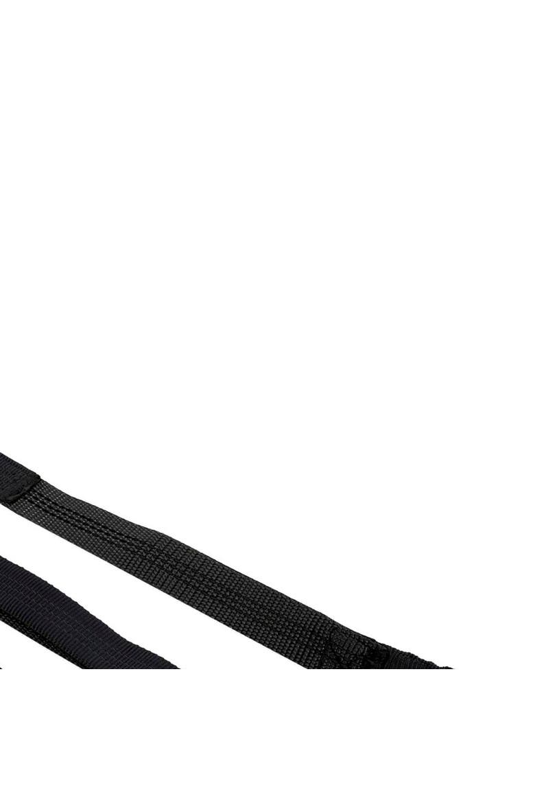 Hands Free Jogging Dog Leash, Alternate, color, Black