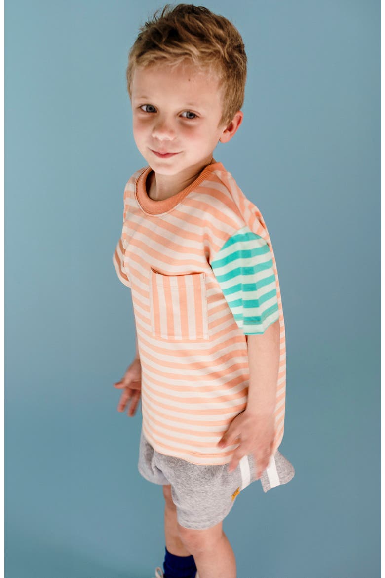 Kids' Striped T-Shirt, Alternate, color, SANDSTONE MULTI