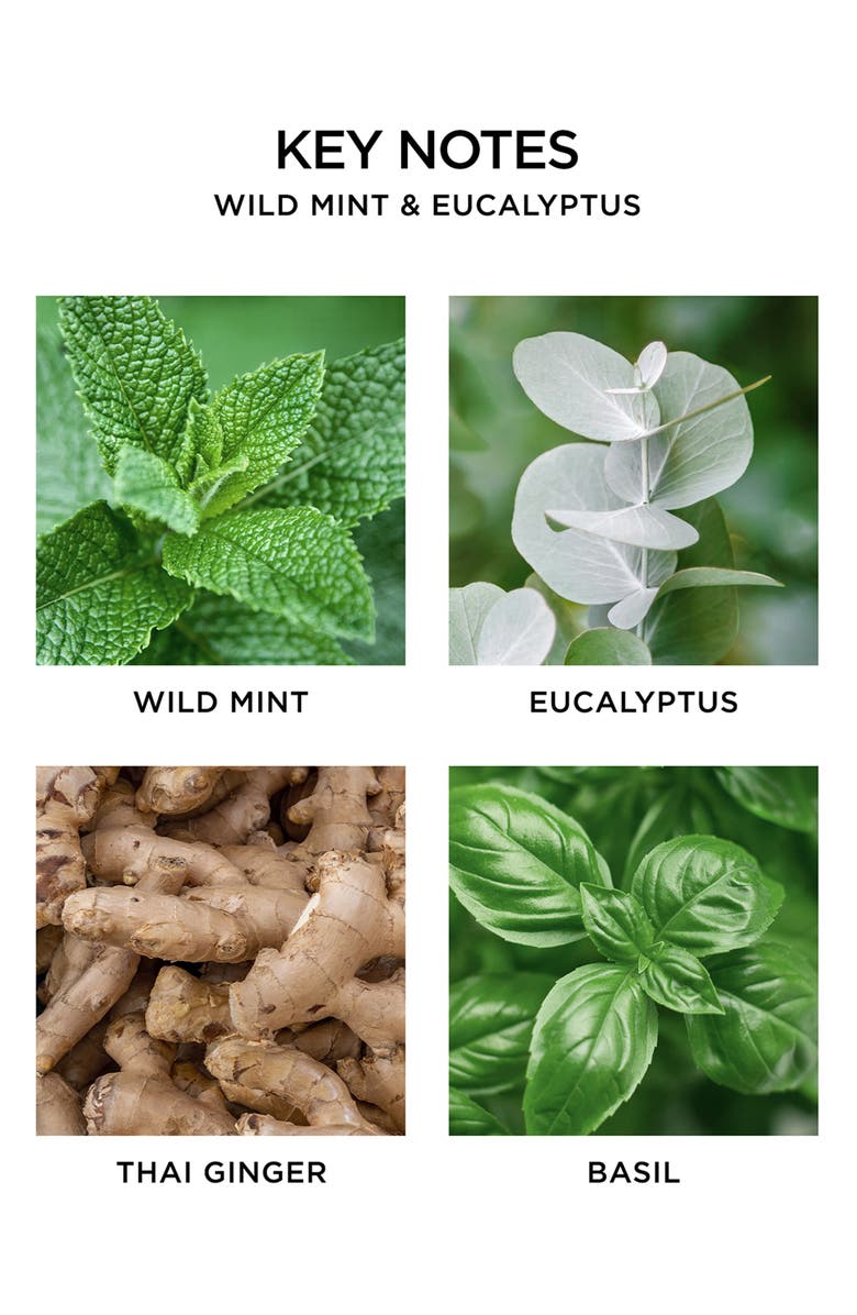 NEST New York Wild Mint & Eucalyptus Body Wash, Alternate, color, 