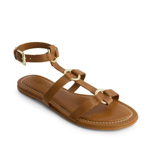 BERNARDO FOOTWEAR BERNARDO FOOTWEAR HERA GLADIATOR SANDAL 
