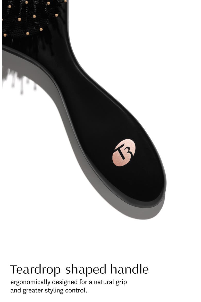 Polish & Shine Hair Brush, Alternate, color, BLACK