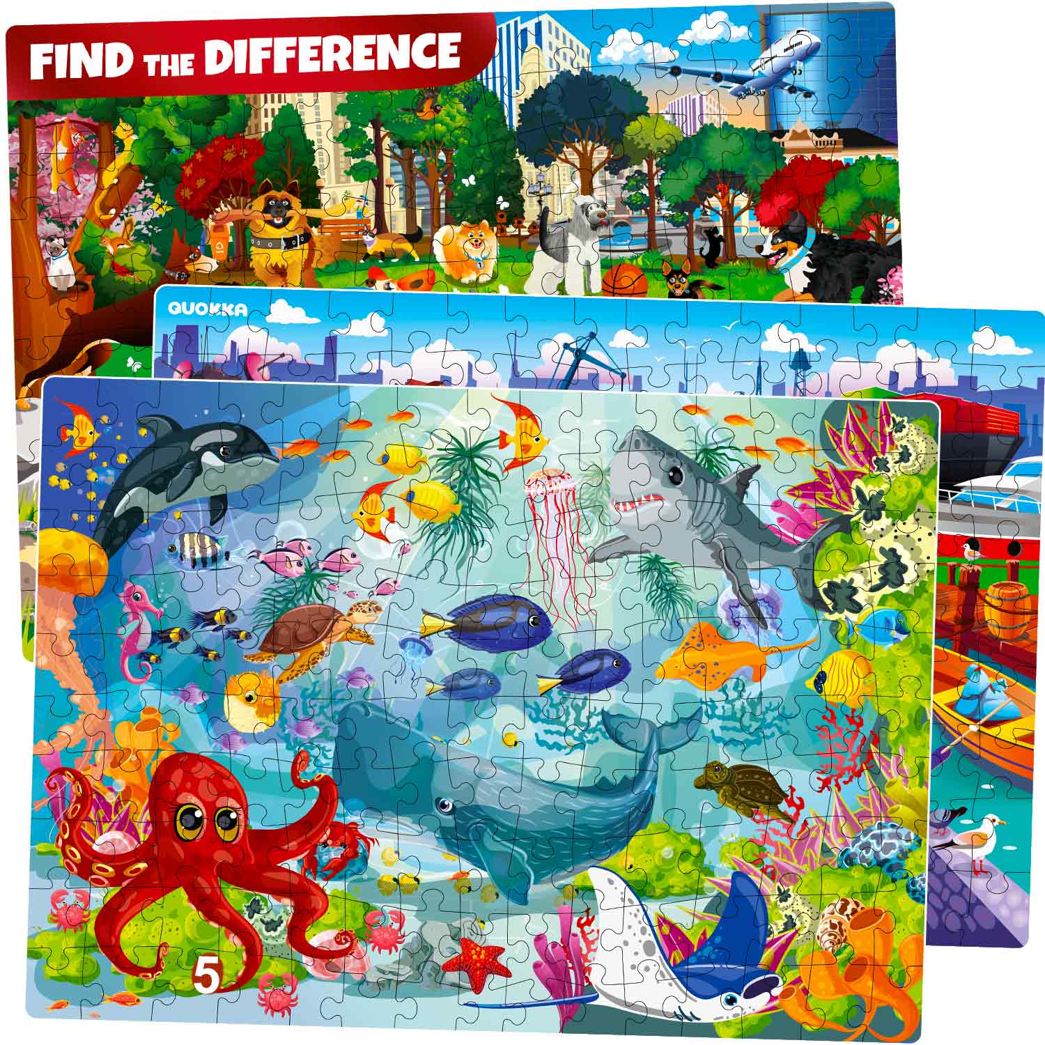 Pets, Pierce, Ocean, Animals