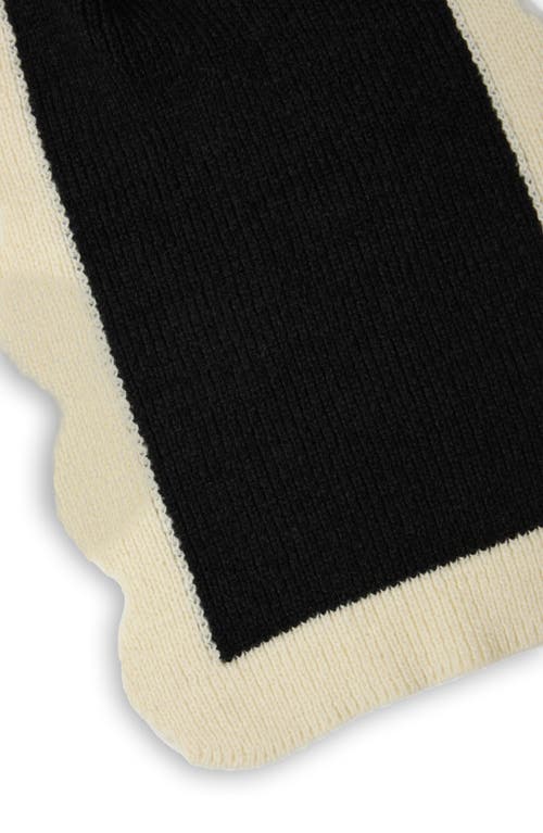 Saachi Scallop Trim Knit Scarf In Black