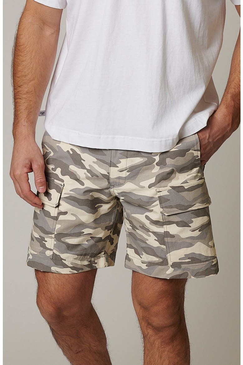 Ripstop Cargo Camo Shorts, Alternate, color, Arctic