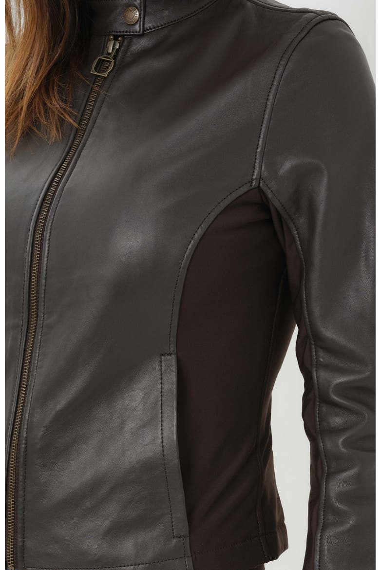 Kensington Mixed Media Moto Leather Jacket, Alternate, color, Espresso