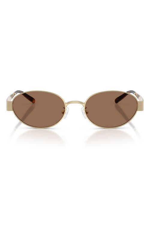 Tory Burch 54mm Oval Sunglasses In Brown