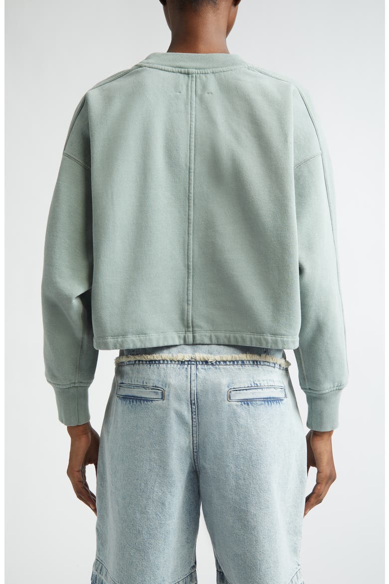 Sunny Logo Embroidered Sweatshirt, Alternate, color, SAGE