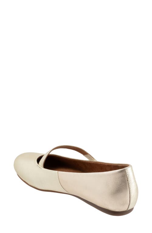 Softwalk ® Syracuse Flat In Neutral