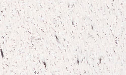 Nic + Zoe Nic+zoe Knit & Woven Zip Front Jacket In White