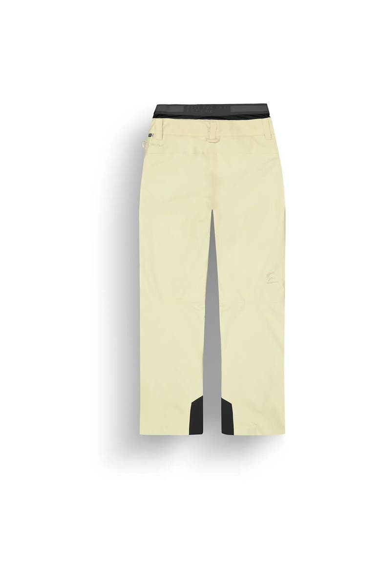 Picture Organic Exa Pant - Women's, Alternate, color, Wood Ash