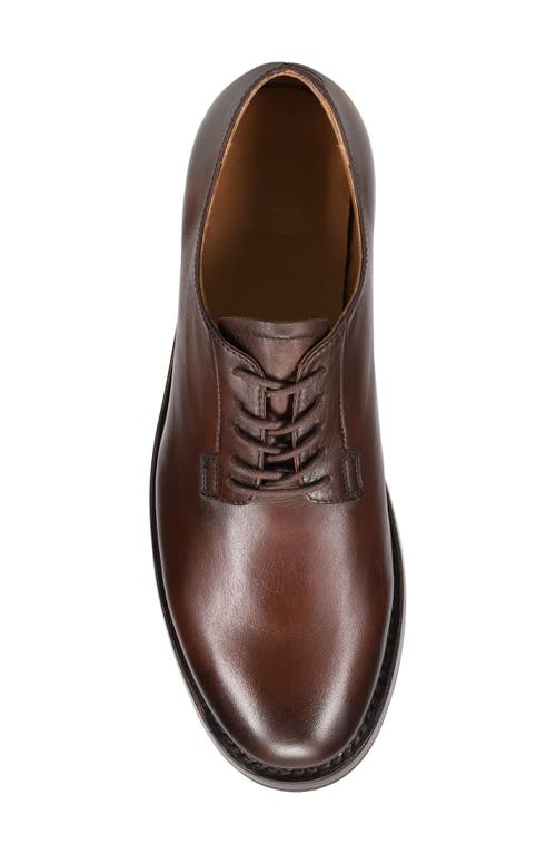Frye Dylan Plain Toe Oxford In Dark Brown