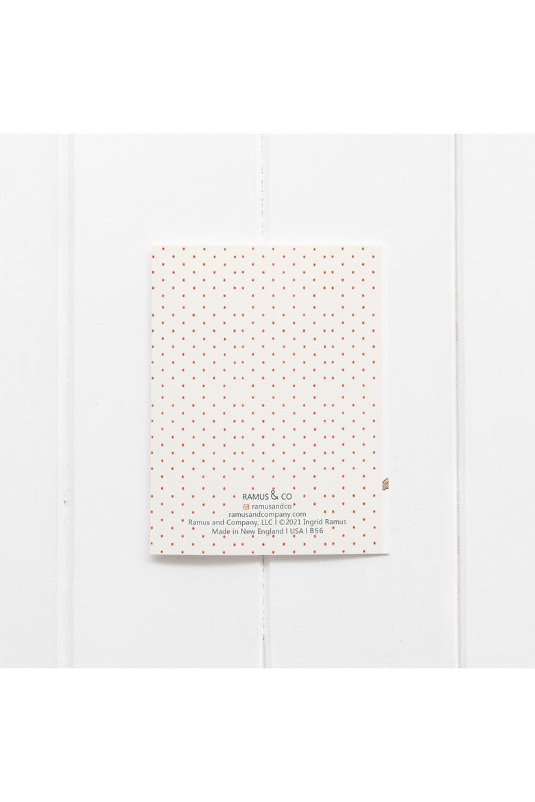 Birthday Greeting Card Singles and Packs, Alternate, color, Multi-Pack