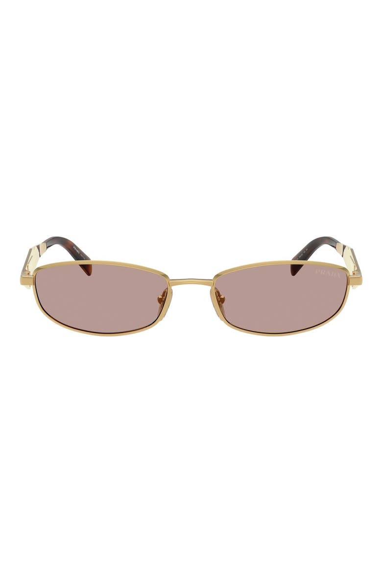 55mm Oval Sunglasses, Main, color, GOLD / LIGHT PURPLE BROWN