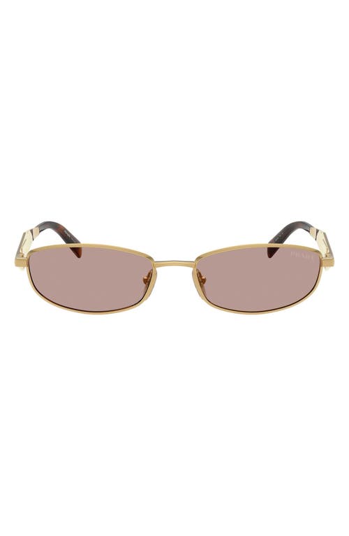 Prada 55mm Oval Sunglasses in Gold/light Purple Brown at Nordstrom