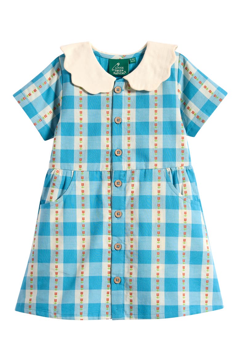 Kids' Floral Embroidered Gingham Dress, Main, color, BLUE