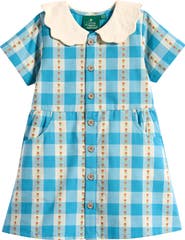 Little Green Radicals Kids' Floral Embroidered Gingham Dress