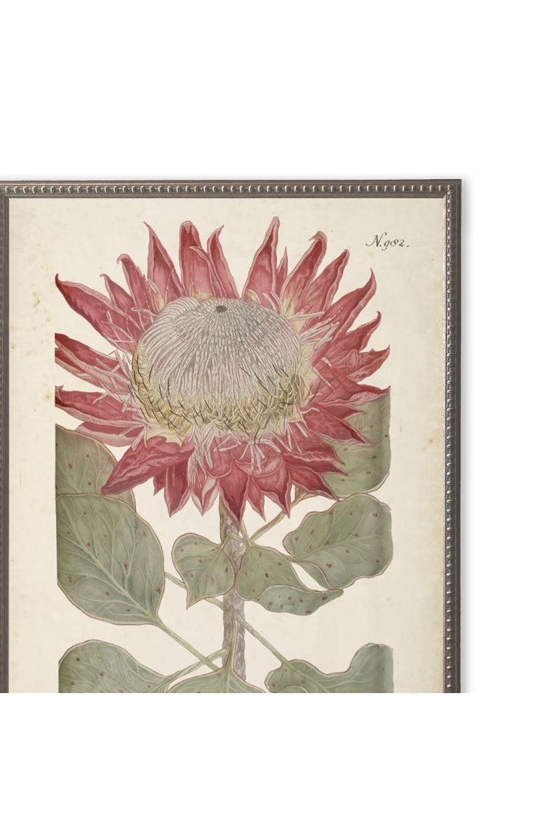 Antique Curiosities Red Flower in Silver-Beaded Frame, Main, color, Multi