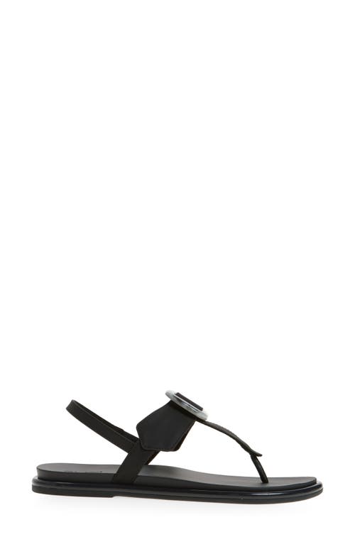 Olukai La'i Slingback Sandal In Brown