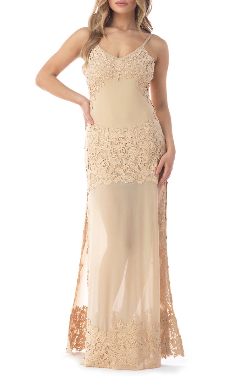 Sky Embroidered Lace Detail Mesh Maxi Dress, Main, color, Beige