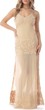 Sky Embroidered Lace Detail Mesh Maxi Dress