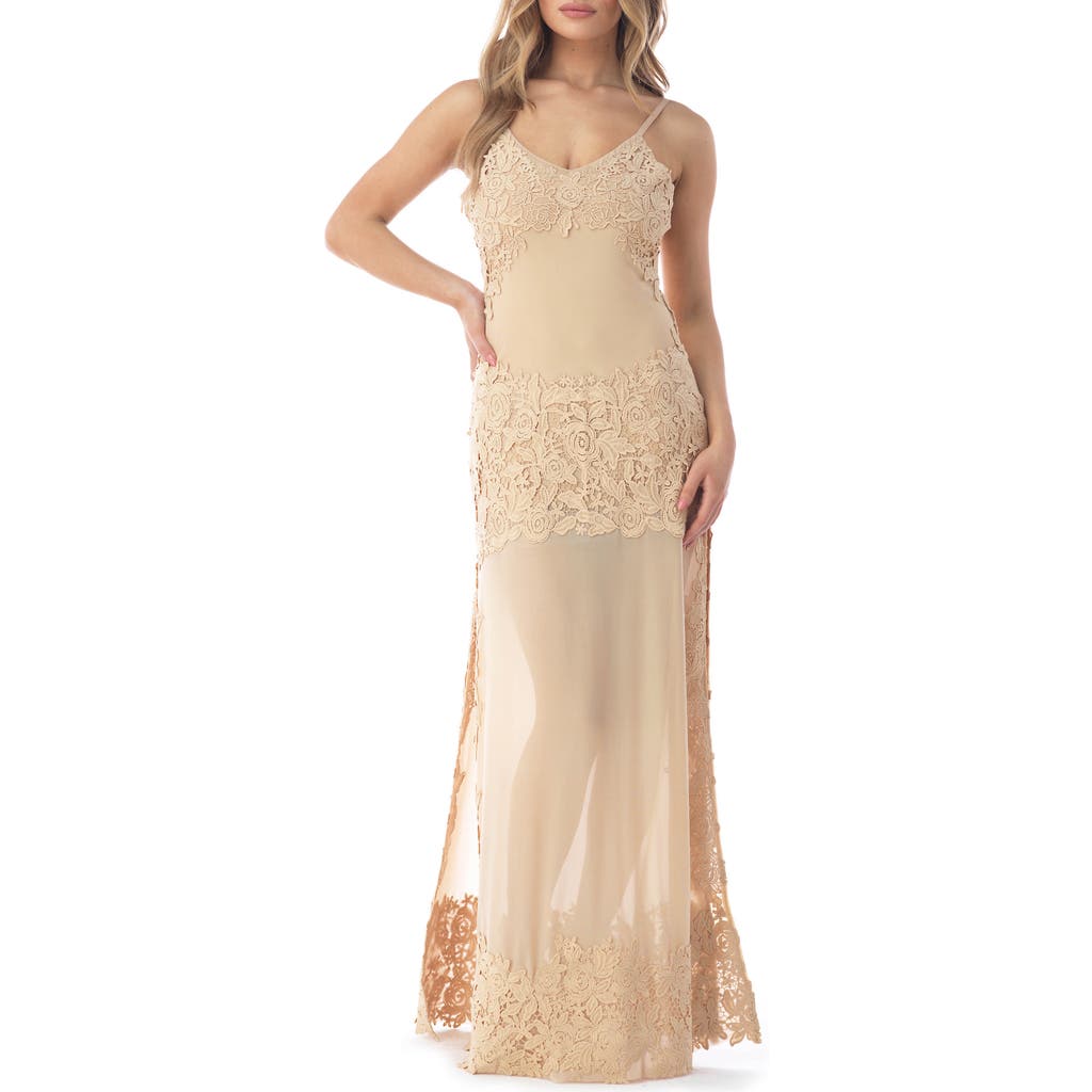 Sky Embroidered Lace Detail Mesh Maxi Dress In Neutral