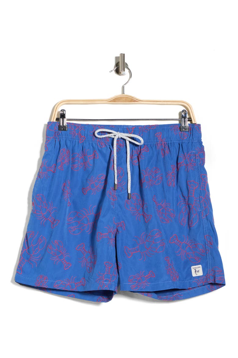 Endless Summer Embroidered Swim Shorts, Alternate, color, BLUE