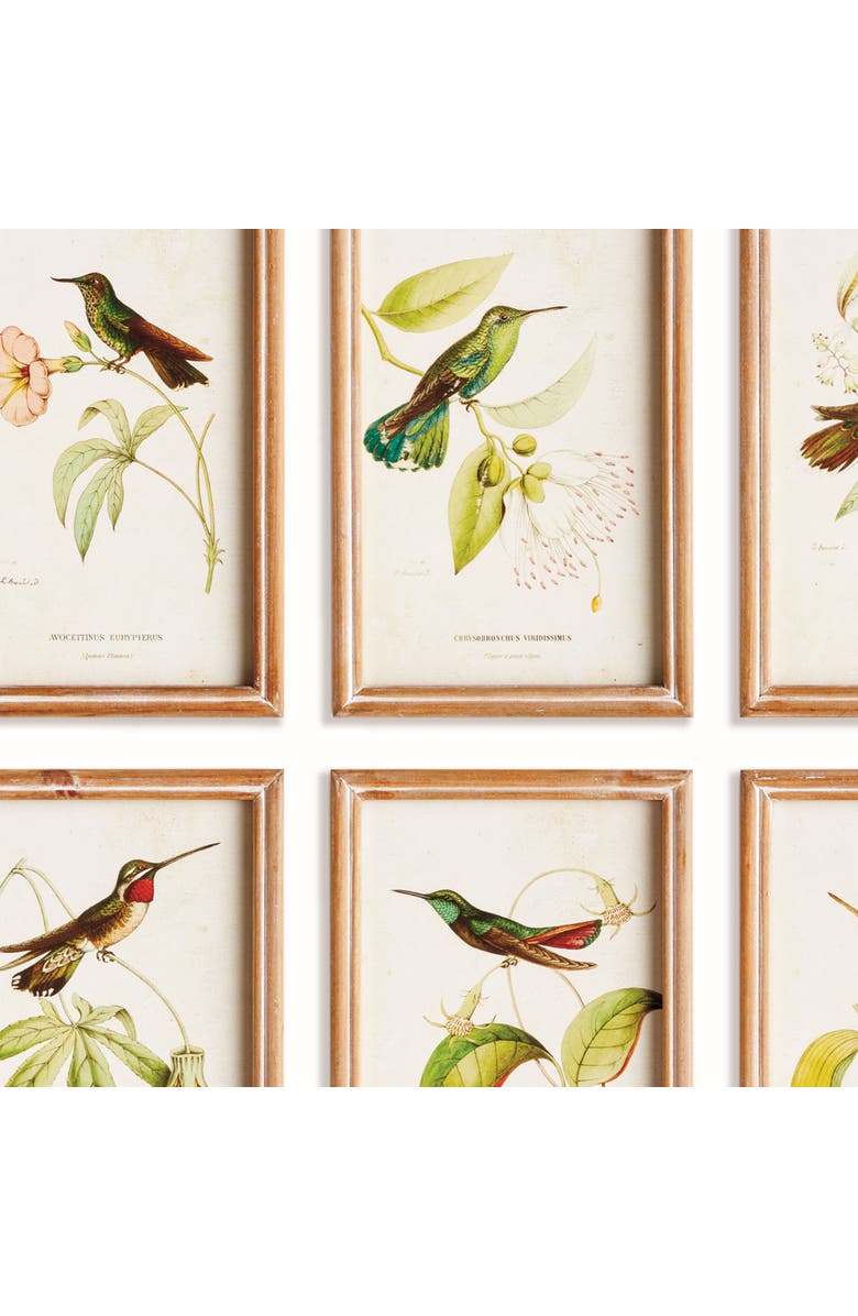 Napa Home & Garden Hummingbirds In Blooms Study, Set Of 8 - Multicolor Prints, Alternate, color, 