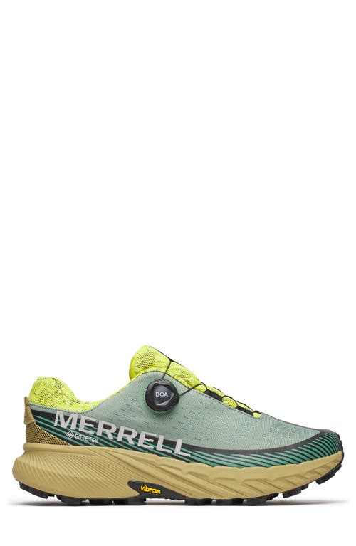 Merrell Agility Peak 5 Boa® Gore-tex® Waterproof Trail Running Shoe In Juniper/vivid