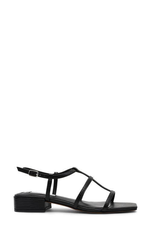 STEVEN NEW YORK STEVEN NEW YORK HAPI CAGED SANDAL 