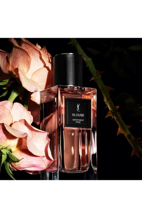 Saint Laurent Yves  Collection Essential Discovery In Transparent