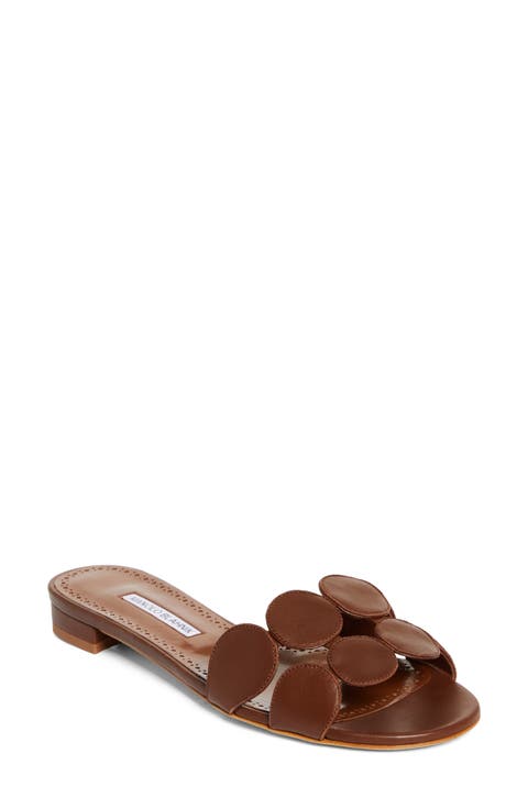 Shop Brown Manolo Blahnik Online | Nordstrom