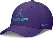 Nike Men's Nike  Purple Arizona Diamondbacks 2025 City Connect Rise Swoosh Performance Flex Hat