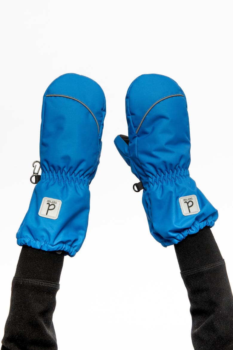 Play Rubberized Waterproof Palm Winter Mittens, Alternate, color, Blue